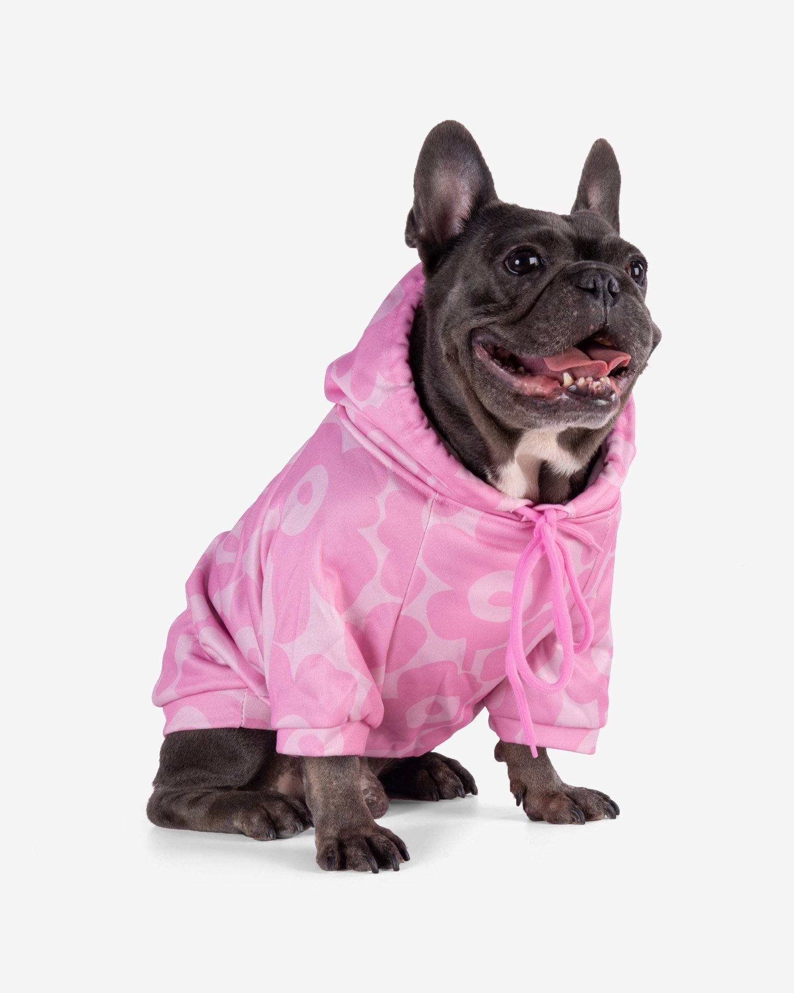 0C5A6968.jpg Sakura Frenchie Hoodie - Image 1