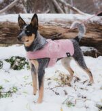 Pink | Coat - Image 6