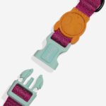 NOX Sidus | Collar - Image 3